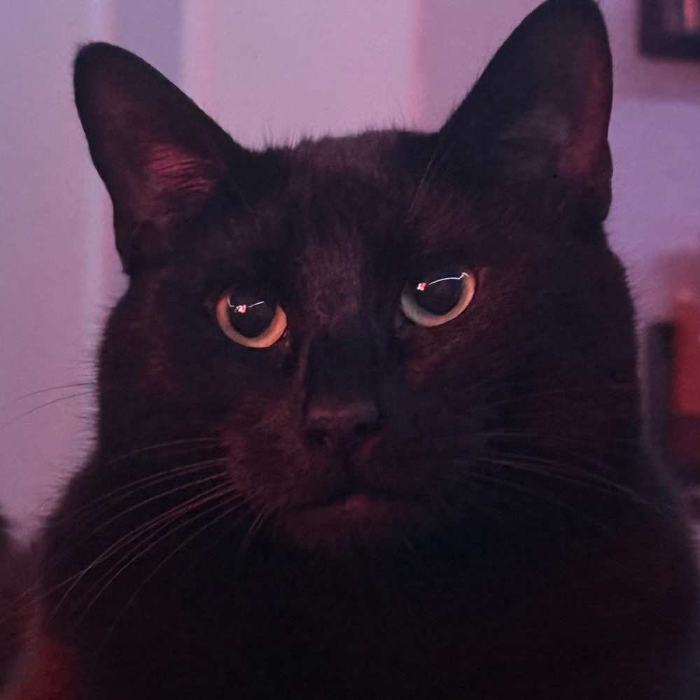 Meet your Posher, Samantha